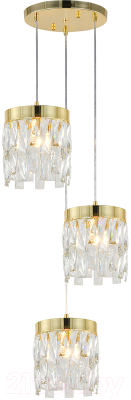 Потолочный светильник Indigo Light Anna V000495