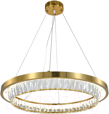 Потолочный светильник Indigo Light Riva V000102L - фото