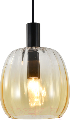 Потолочный светильник Indigo Light Soave V000492