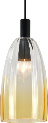 Потолочный светильник Indigo Light Soave V000494