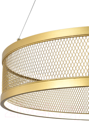 Потолочный светильник Indigo Light Solido V000112L