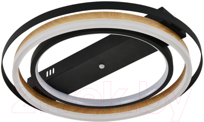 Потолочный светильник ESCADA 10247/2LED