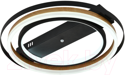 Потолочный светильник ESCADA 10247/2LED