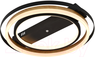 Потолочный светильник ESCADA 10247/2LED