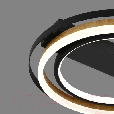 Потолочный светильник ESCADA 10247/2LED