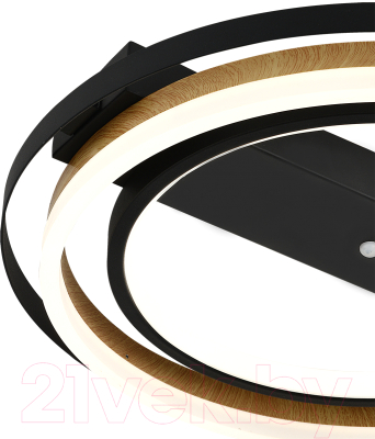 Потолочный светильник ESCADA 10247/2LED