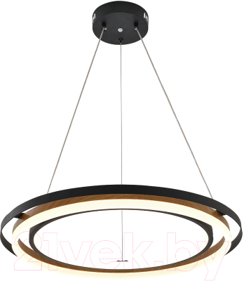 Потолочный светильник ESCADA 10248/2LED (черный/дерево) - фото