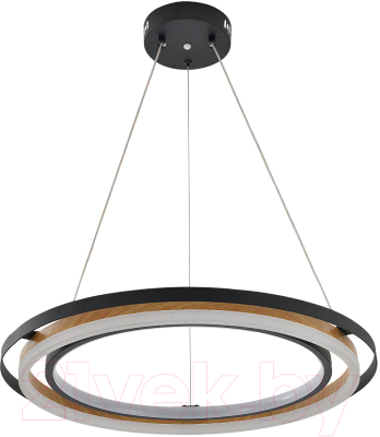 Потолочный светильник ESCADA 10248/2LED (черный/дерево)