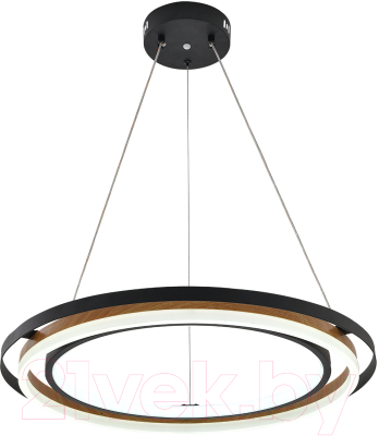 Потолочный светильник ESCADA 10248/2LED (черный/дерево)