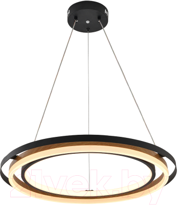 Потолочный светильник ESCADA 10248/2LED (черный/дерево)