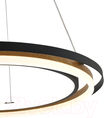 Потолочный светильник ESCADA 10248/2LED (черный/дерево)