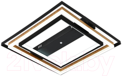 Потолочный светильник ESCADA 10249/2LED - фото