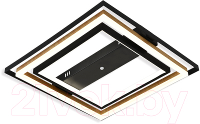 Потолочный светильник ESCADA 10249/2LED