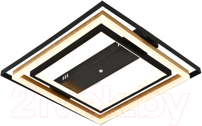 Потолочный светильник ESCADA 10249/2LED