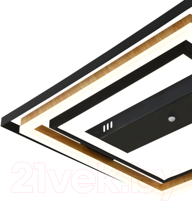 Потолочный светильник ESCADA 10249/2LED