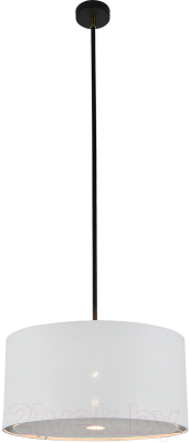 Потолочный светильник ESCADA 10186/1S - фото