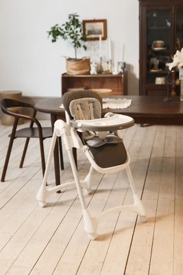 Стульчик для кормления Martin Noir Dory