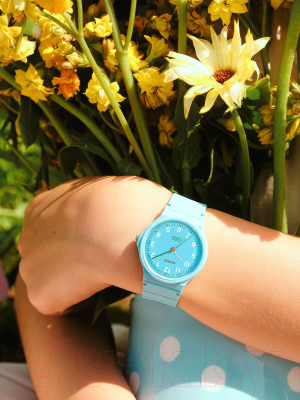 Часы наручные унисекс Casio LQ-24B-2B