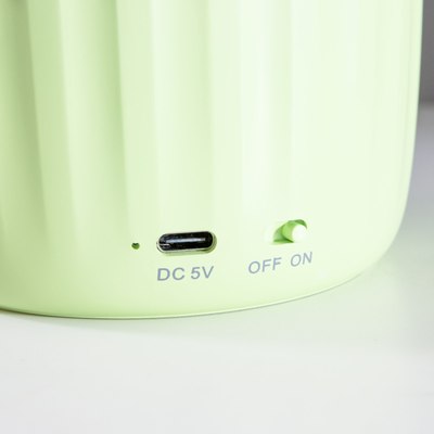 Ночник Risalux Мини лягушенок 7446933