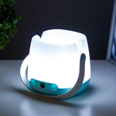 Ночник Risalux Ланди 9228354