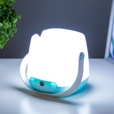 Ночник Risalux Ланди 9228354