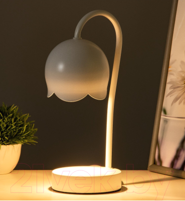 Настольная лампа Risalux Свелл 9705501