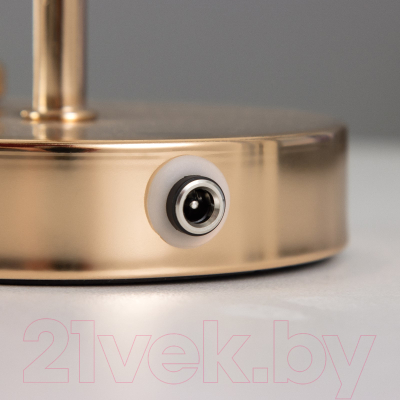 Прикроватная лампа Risalux Джемма 9951684