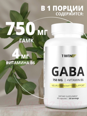 Пищевая добавка 1WIN ГАМК с витамином В6