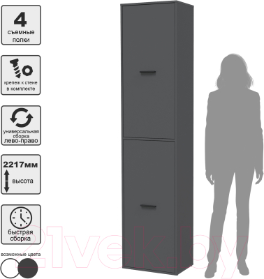 Шкаф-пенал Интерлиния Skill-21 (2)
