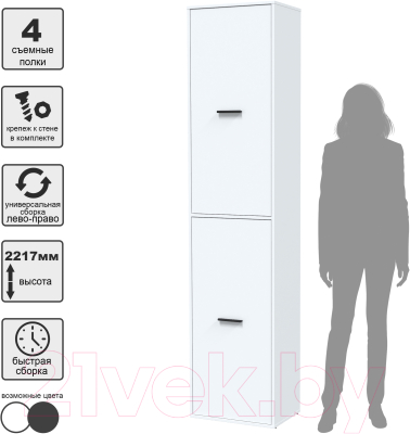 Шкаф-пенал Интерлиния Skill-21 (2)