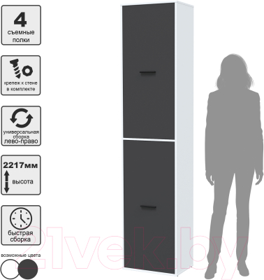 Шкаф-пенал Интерлиния Skill-21 (2)