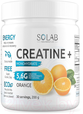 Креатин SOLAB Моногидрат - фото