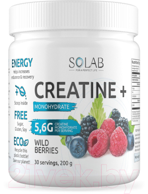 Креатин SOLAB Моногидрат - фото