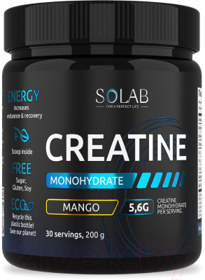 Креатин SOLAB Моногидрат - фото