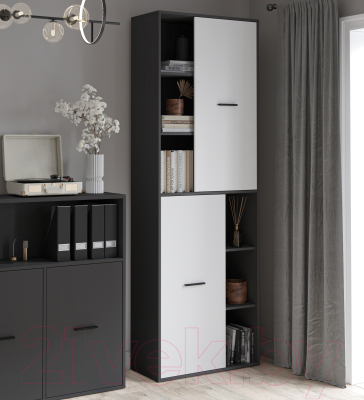 Шкаф Интерлиния Skill-22 (2)
