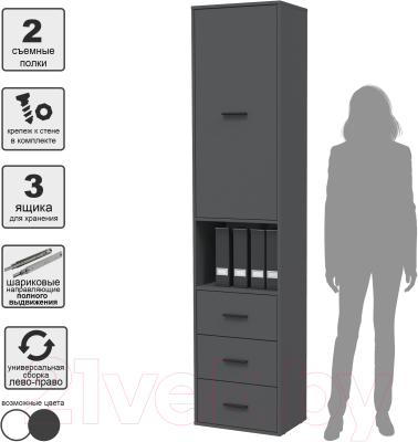 Шкаф-пенал Интерлиния Skill-24 (1)
