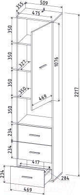 Шкаф-пенал Интерлиния Skill-24 (1)