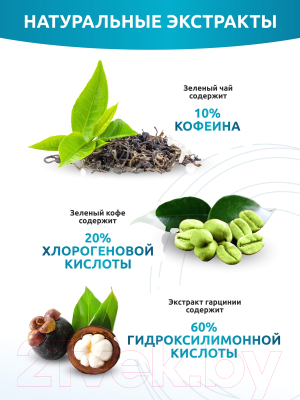 L-карнитин SOLAB С зеленым чаем