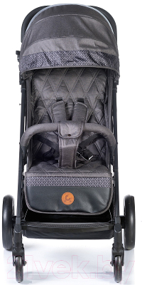 Детская прогулочная коляска Acarento Antero Black / AS121