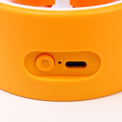 Ночник Risalux Морковка / 10063425