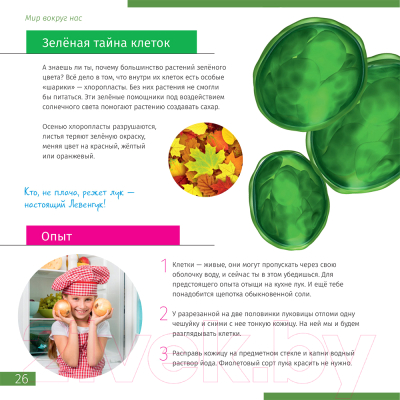 Микроскоп цифровой Levenhuk Discovery Atto Polar / 77992