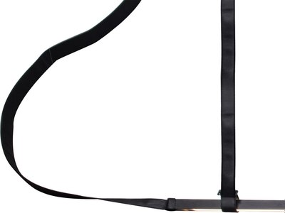 Потолочный светильник Kinklight Элара 08461-150.19 (черный)