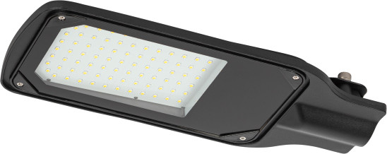 Светильник уличный ЭРА SPP-504-0-50K-050 / Б0062692 - фото