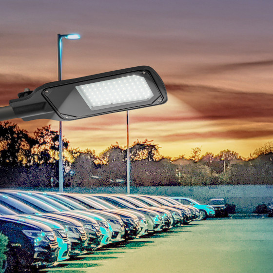 Светильник уличный ЭРА SPP-504-0-50K-050 / Б0062692