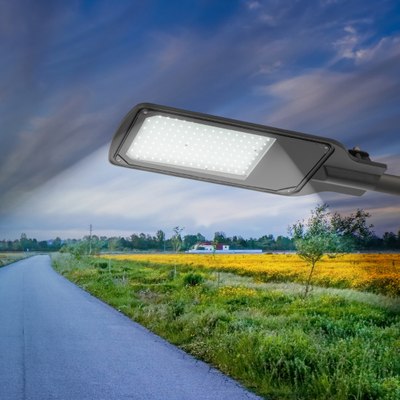 Светильник уличный ЭРА SPP-504-0-50K-100 / Б0062724