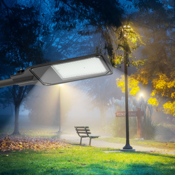 Светильник уличный ЭРА SPP-504-0-50K-120 / Б0062705