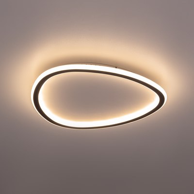 Потолочный светильник Citilux Тrio CL215B241E