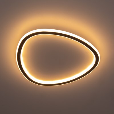 Потолочный светильник Citilux Тrio CL215B241E