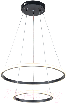 Потолочный светильник ESCADA 10228/2 LED - фото