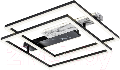 Потолочный светильник ESCADA 10251/2 LED - фото